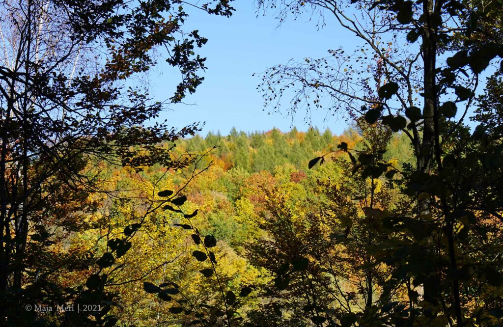Obernautalsperre Oktober 2021