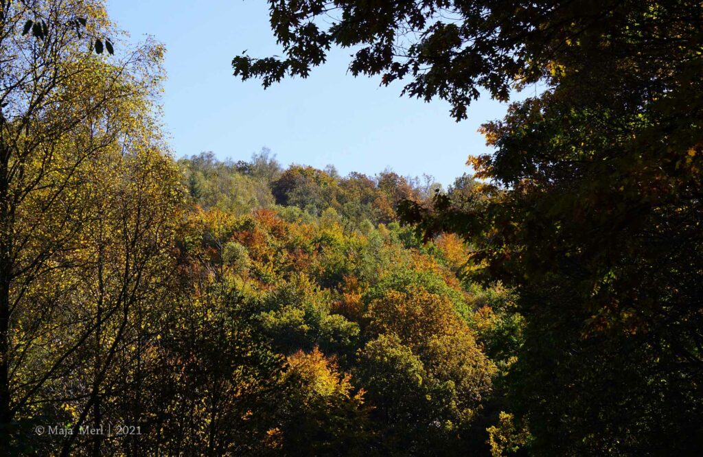Obernautalsperre Oktober 2021