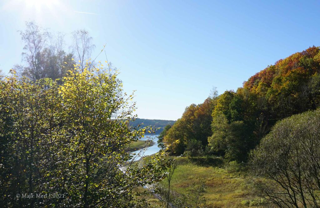 Obernautalsperre Oktober 2021